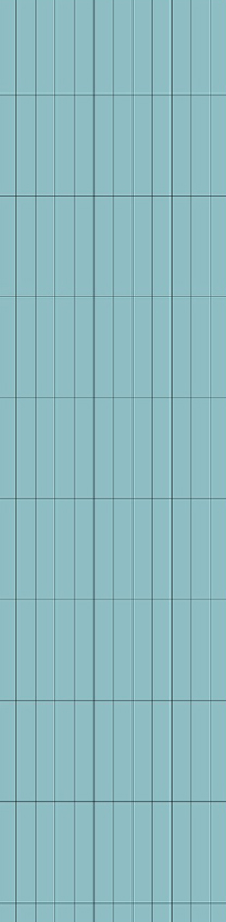 50x260mm