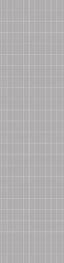 50x100mm